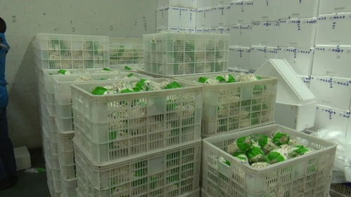 省直機關(guān)支援隊為我縣企業(yè) 牽線搭橋 擴寬產(chǎn)品購銷渠道